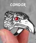 Condor