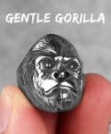 Gentle Gorilla