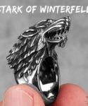 Stark of winterfell